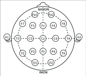 Neurofeedback Research